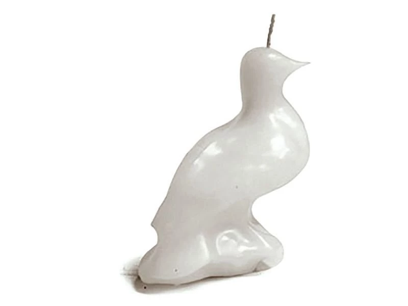 320 - Paloma Blanca 8.5 x 7.5 c